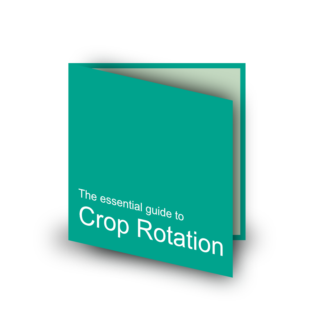 Crop rotation