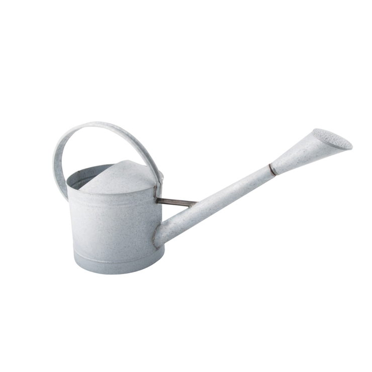 Watering Can Medium